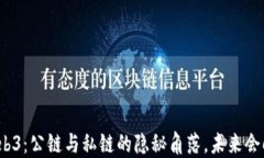 探索Web3：公链与私链的隐秘角落，未来会向何方