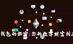 揭秘比特币钱包的秘密：你的数字财富到底藏在