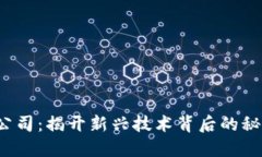 国内Web3公司：揭开新兴技术背后的秘密与可能性