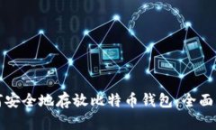 《如何安全地存放比特币钱包：全面指南》