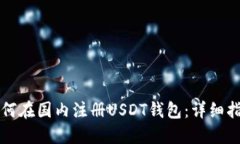 如何在国内注册USDT钱包：详细指南