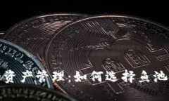 数字时代的资产管理：如何选择鱼池比特币钱包