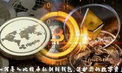 如何导入比特币私钥到钱包，保护你的数字资产