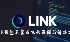  T P钱包不翼而飞的原因与解决方案