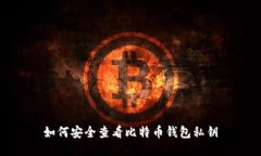 如何安全查看比特币钱包私钥